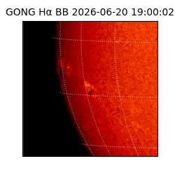 gong - 2026-06-20T19:00:02