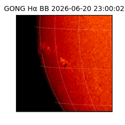 gong - 2026-06-20T23:00:02