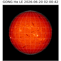 gong - 2026-06-20T02:00:42