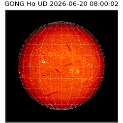 gong - 2026-06-20T08:00:02