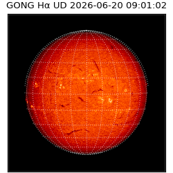 gong - 2026-06-20T09:01:02