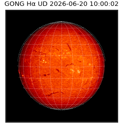 gong - 2026-06-20T10:00:02