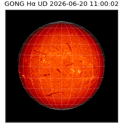 gong - 2026-06-20T11:00:02