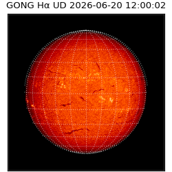 gong - 2026-06-20T12:00:02
