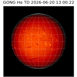 gong - 2026-06-20T13:00:22