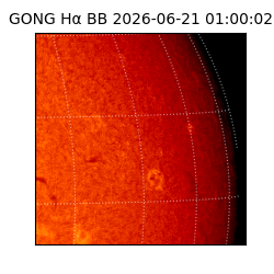 gong - 2026-06-21T01:00:02