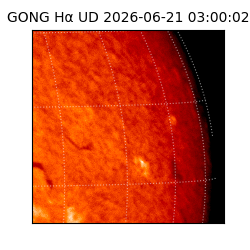 gong - 2026-06-21T03:00:02
