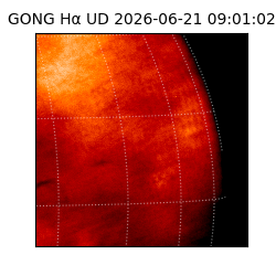 gong - 2026-06-21T09:01:02