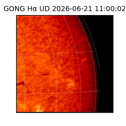 gong - 2026-06-21T11:00:02