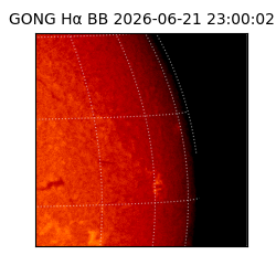 gong - 2026-06-21T23:00:02