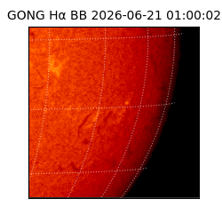 gong - 2026-06-21T01:00:02