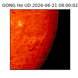 gong - 2026-06-21T08:00:02