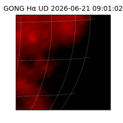 gong - 2026-06-21T09:01:02