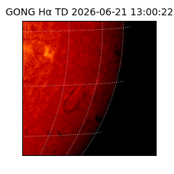gong - 2026-06-21T13:00:22