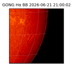 gong - 2026-06-21T21:00:02