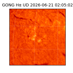 gong - 2026-06-21T02:05:02