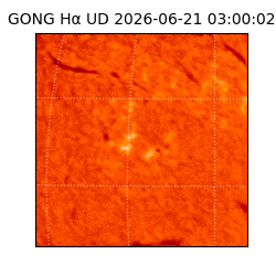 gong - 2026-06-21T03:00:02