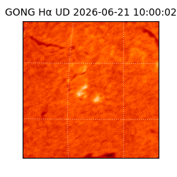 gong - 2026-06-21T10:00:02