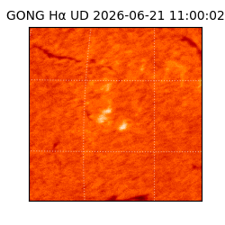 gong - 2026-06-21T11:00:02