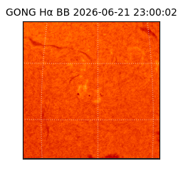 gong - 2026-06-21T23:00:02