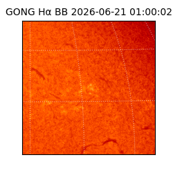 gong - 2026-06-21T01:00:02
