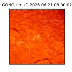 gong - 2026-06-21T08:00:02