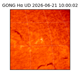 gong - 2026-06-21T10:00:02