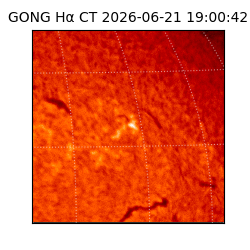 gong - 2026-06-21T19:00:42