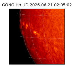 gong - 2026-06-21T02:05:02