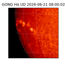 gong - 2026-06-21T08:00:02