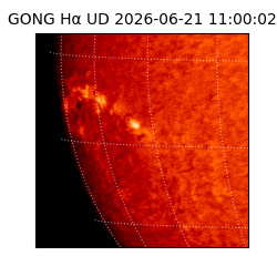 gong - 2026-06-21T11:00:02