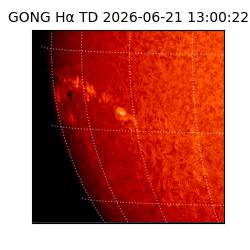 gong - 2026-06-21T13:00:22