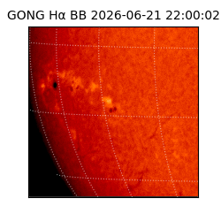 gong - 2026-06-21T22:00:02
