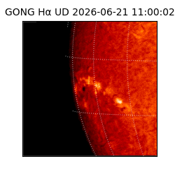 gong - 2026-06-21T11:00:02