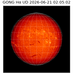 gong - 2026-06-21T02:05:02