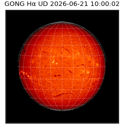 gong - 2026-06-21T10:00:02