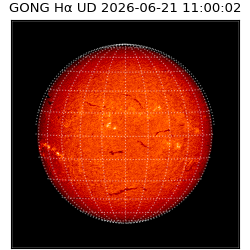 gong - 2026-06-21T11:00:02