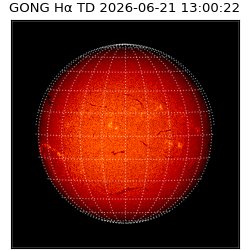 gong - 2026-06-21T13:00:22