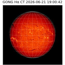 gong - 2026-06-21T19:00:42