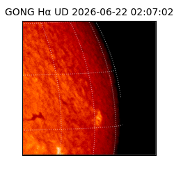 gong - 2026-06-22T02:07:02