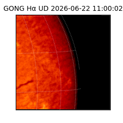 gong - 2026-06-22T11:00:02