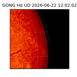 gong - 2026-06-22T12:02:02