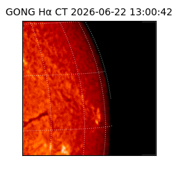 gong - 2026-06-22T13:00:42