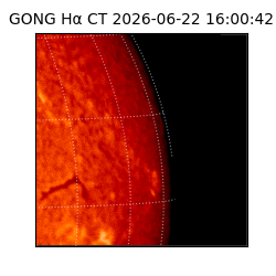 gong - 2026-06-22T16:00:42
