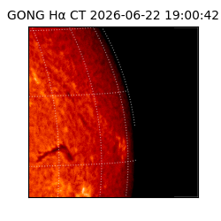 gong - 2026-06-22T19:00:42