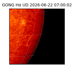 gong - 2026-06-22T07:00:02