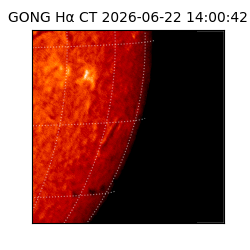 gong - 2026-06-22T14:00:42