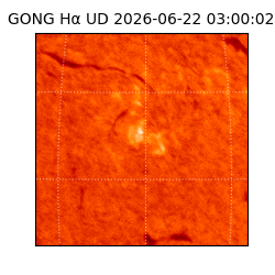 gong - 2026-06-22T03:00:02