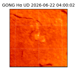 gong - 2026-06-22T04:00:02