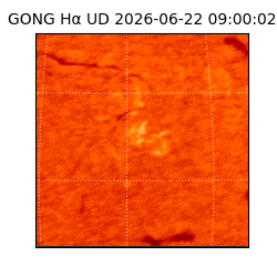 gong - 2026-06-22T09:00:02